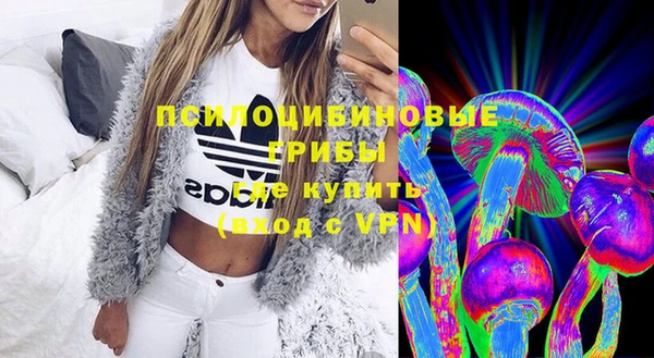 альфа пвп Новодвинск