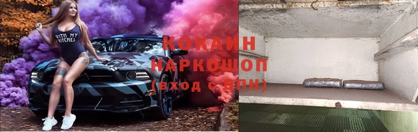 винт Новозыбков