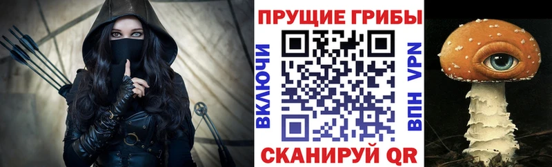 Галлюциногенные грибы Psilocybine cubensis  купить  сайты  Пойковский 